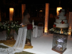 11 Manteleria y Cristaleria - Demian Platillos y Eventos