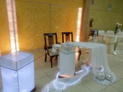 19 Manteleria y Cristaleria - Demian Platillos y Eventos