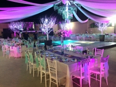 24 Manteleria y Cristaleria - Demian Platillos y Eventos
