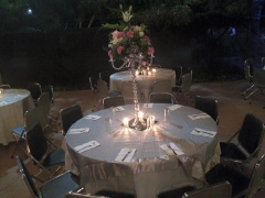 26 Manteleria y Cristaleria - Demian Platillos y Eventos